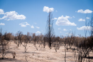 Fire danger period ends next week