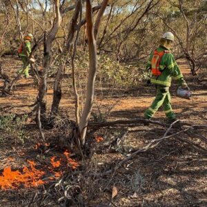 Authorities signal burn-off smoke