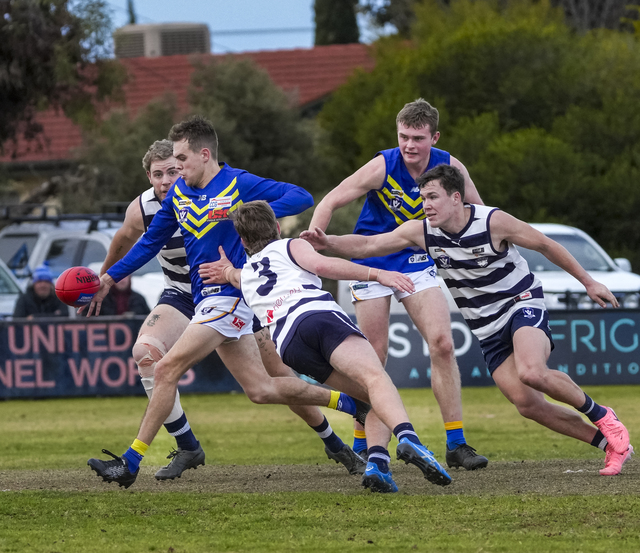 SFNL drives road safety push