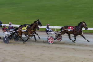 Johnson’s five-star masterclass