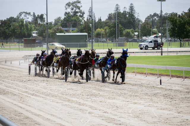 Leaders call the shots at trots