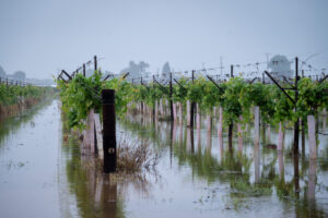 Calls for farmers to report flooding damage