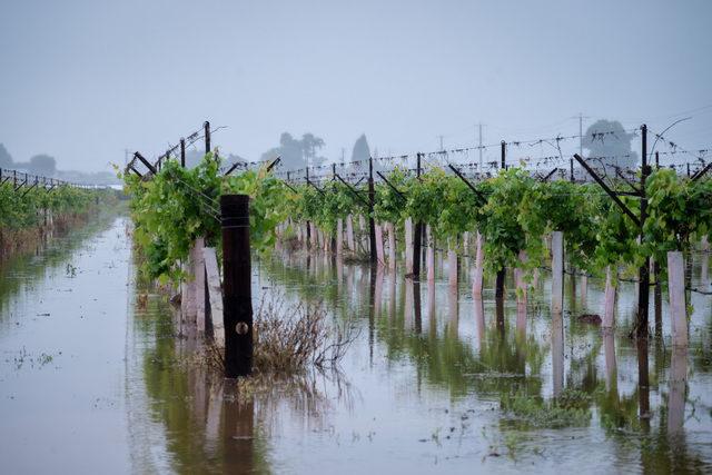 Calls for farmers to report flooding damage
