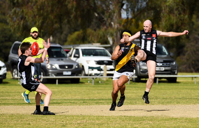 Pies new recruits help them fly