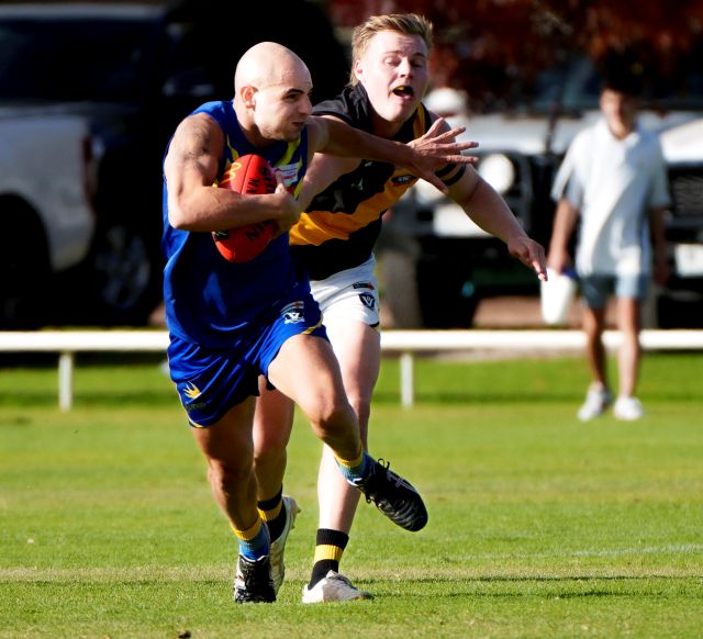 Lions looking to roar in 2026