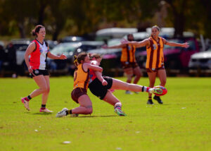 Hawks take on Saints in early test