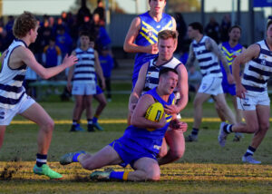 Swallows seek stylish start, Dogs down to dampen their drive