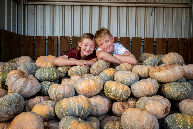 Home-grown pumpkin patch kids