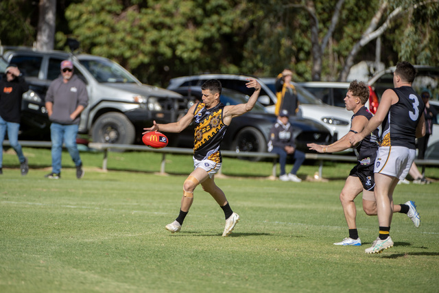 Kangaroos bring the good news