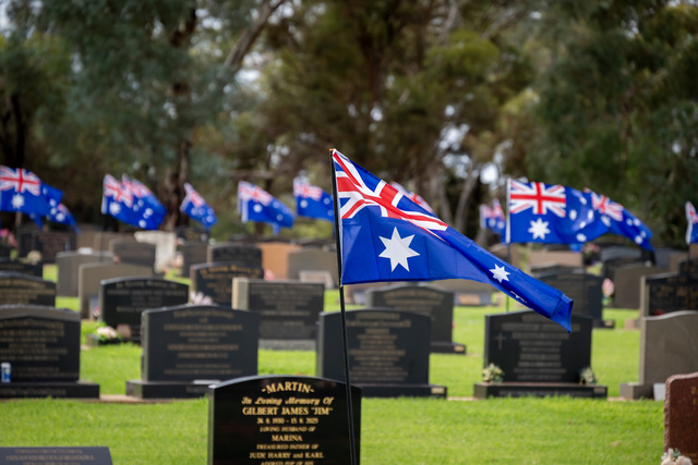 Remembrance flags stand at attention