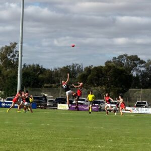 Premiers make statement