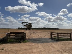 ‘Merino Mafia’ link ruled out in Ouyen murder investigation