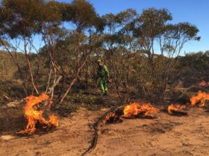 Planned burn for Patche