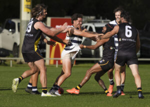 Bulldogs on a roll as Tigers tamed