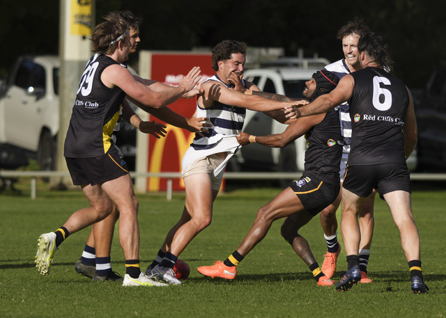Bulldogs on a roll as Tigers tamed