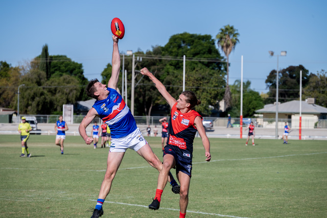 Mildura claim one-point win over Wenty