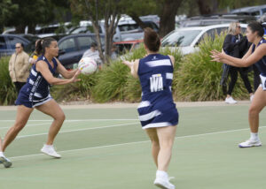 Bulldogs bite back at Tigers