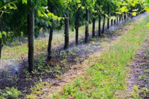 NSW regulator adjusts water rise