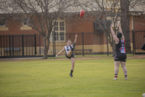 Hawks hunt while Magpies heal