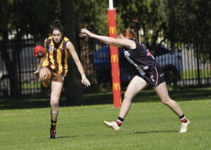 Grand final gap shrinks to Hawks, Saints nail-biter