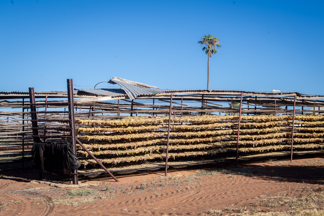 Producers still tallying cost