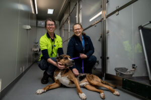 New facility for feeble fur babies
