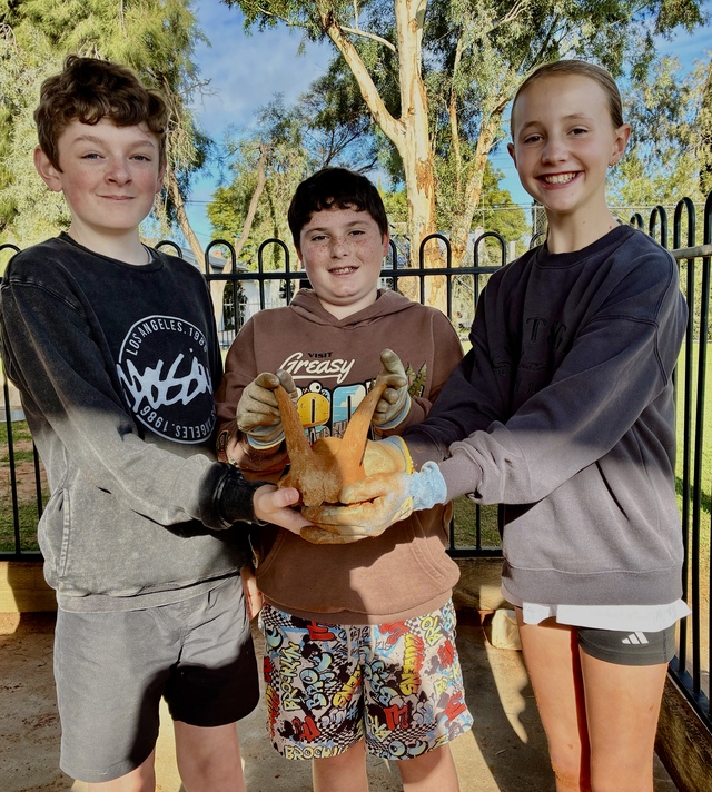 Dig day discoveries at Mildura West
