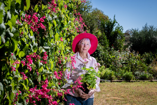 Autumn flower show blooming lovely