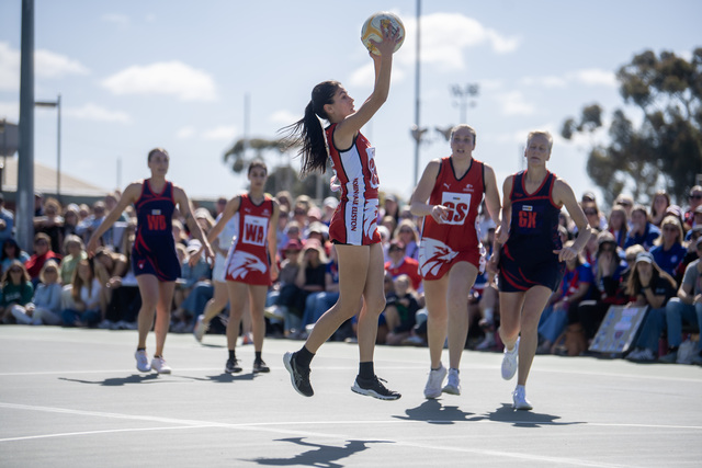 Eagles to swim it in at Sarah Oval