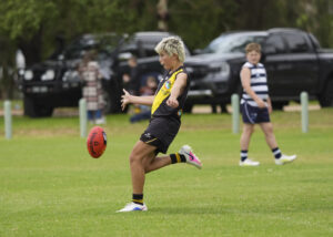 Tigers earn Steeline jackpot