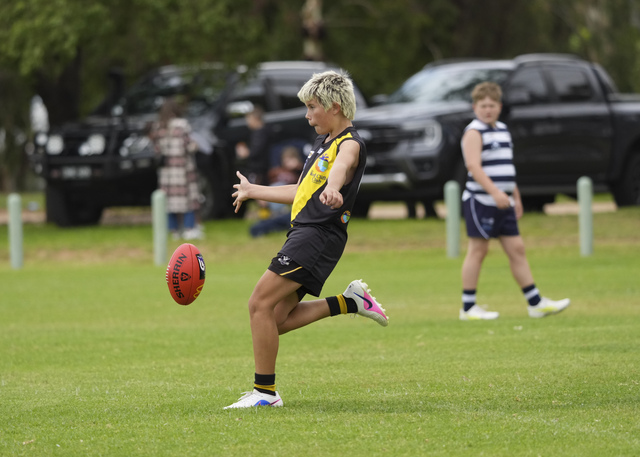 Tigers earn Steeline jackpot