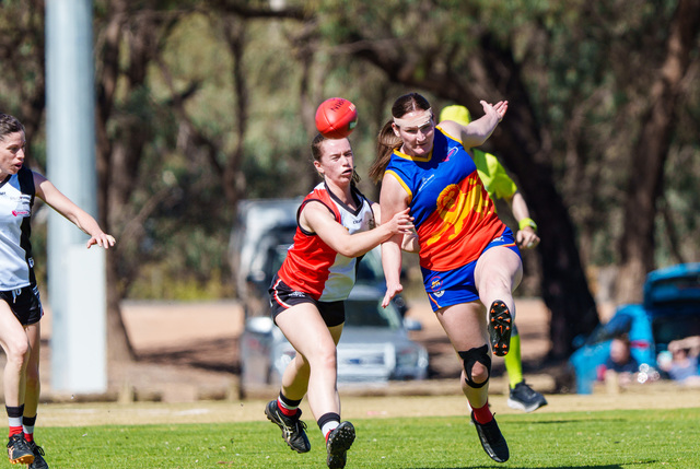 Cardy conquer premiers