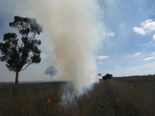 CFA urges burn-off registrations