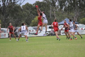 Eagles soar after Bulldogs blitz