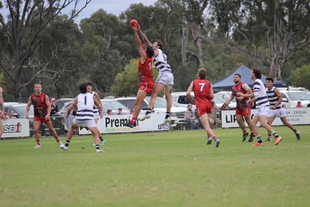 Eagles soar after Bulldogs blitz