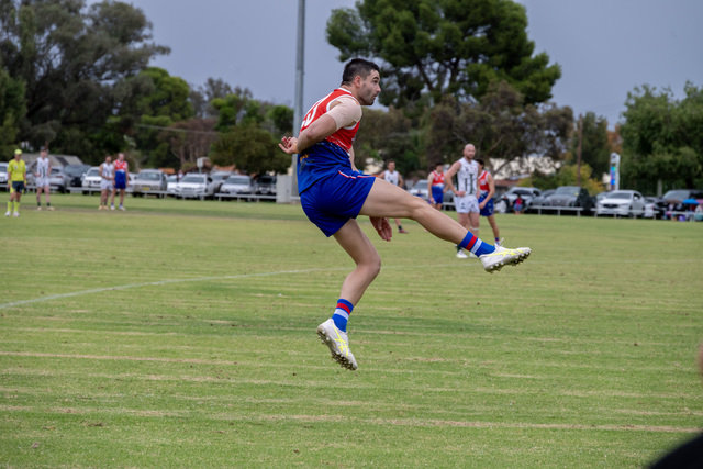 Tigers tackle reloaded Roos