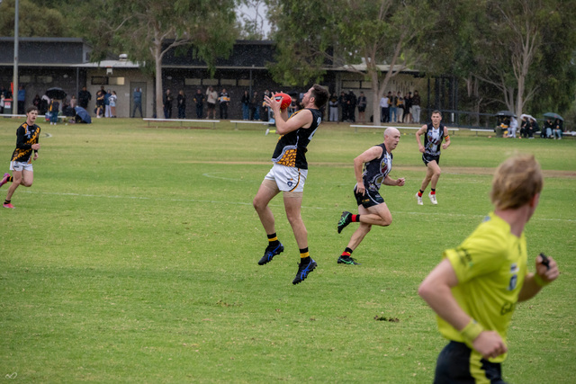 Tippa turns Tigers topsy turvy