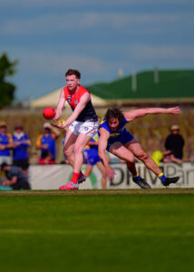 Demons and Swallows reignite grand final fire
