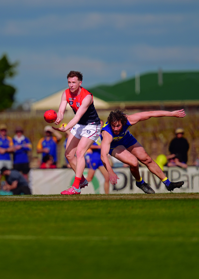 Demons and Swallows reignite grand final fire