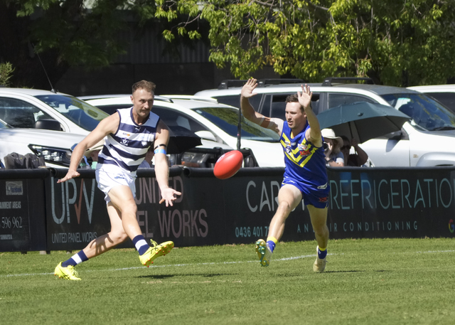 Demons Dogs derby day