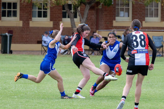 Hot Pies stun inaccurate Lions