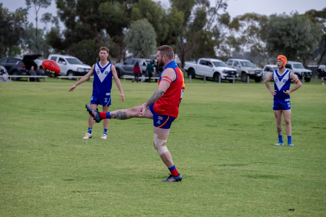 Lions deliver Roo reality check