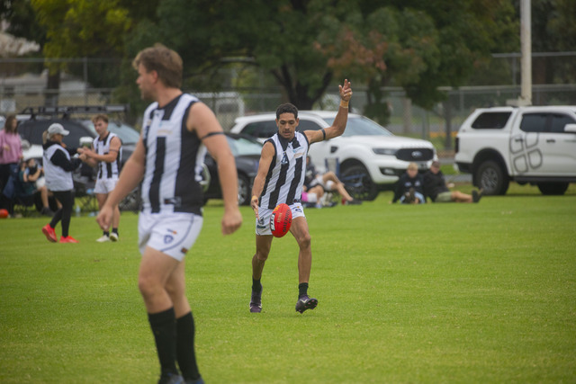 Scott Free: Magpie maestro running riot